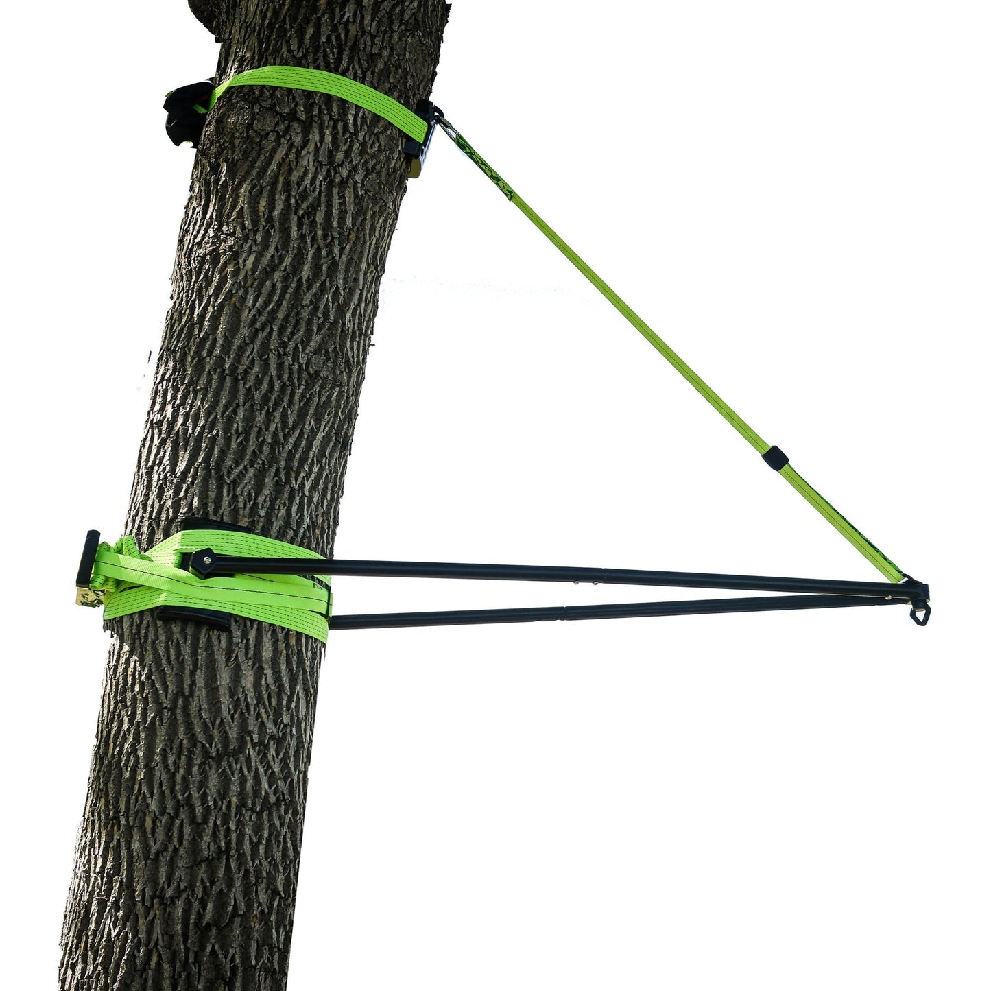 SLA.303 Build-A-Branch™