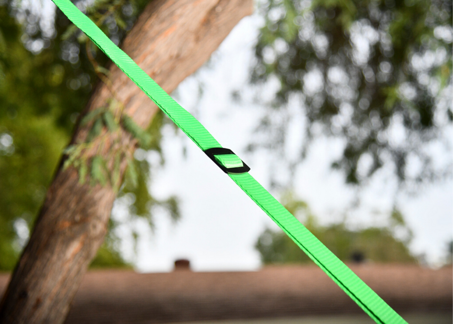 SLA.303 Build-A-Branch™
