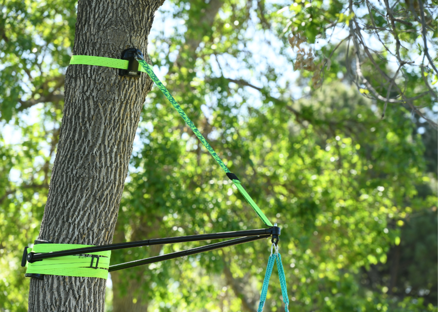SLA.303 Build-A-Branch™